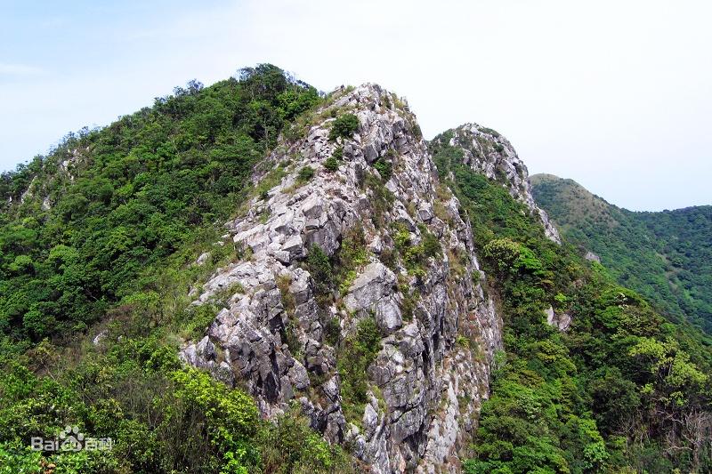 深圳凤凰山在哪（深圳八座山）