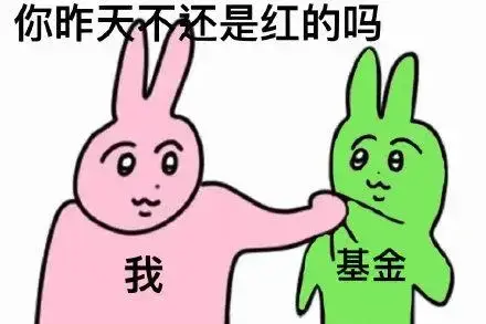 证券投资基金什么意思（你学会理财了吗？）